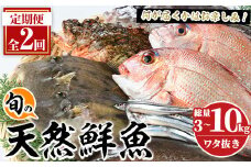 ＜定期便・全2回＞旬の天然鮮魚 厳選BOX(各3～5kg) 天然 魚貝 魚介 海産物 刺身 焼き魚 煮つけ 鯛 イカ キビナゴ【さるがく水産】akn028-31