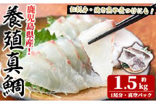 鮮度抜群！養殖真鯛(1尾分・約1.5kg) 鯛 真鯛 魚貝 魚介 海産物 刺身 焼き魚 煮つけ 真空パック【さるがく水産】akn028-08
