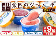 楽園のジェラート3種セット(合計9個) スイーツ デザート おやつ ジェラート アイス 夏 いちご レモン ブルーベリー 自社農園【農園ガーデン空】akn026-05