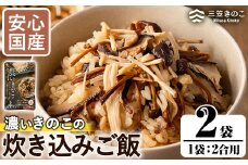 国産のえのきやきのこ使用！濃いきのこの炊き込みご飯の素(2合用×2袋)国産 九州産 鹿児島産 きのこ えのき 炊き込みご飯【三笠えのき茸生産組合】akn010-01