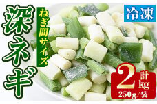 冷凍深ネギ(ねぎ間サイズ：計2kg・250g/袋) 野菜 冷凍 冷凍野菜 小分け ねぎ ネギ 深ネギ 小口切り 斜め切り ねぎま 簡単 手軽 小分け 【合同会社グッドフィールド】akn056-14