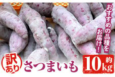 訳あり！さつまいも (約10kg) 鹿児島県 阿久根市 さつま芋 サツマイモ 紅はるか 紅さつま シルクスイート 訳アリ 野菜 芋 イモ【松永青果】akn053-20