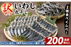訳あり！イワシ丸干しセット(合計200尾以上) 国産 鹿児島県産 阿久根市産 魚 魚介 水産 訳あり 訳アリ いわし 鰯 ウルメイワシ うるめいわし めざし 真イワシ 真いわし マイワシ まいわし 丸干 一夜干 食べ比べ セット 詰め合わせ 【鈴木海産】akn091-03