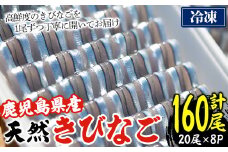 ＜冷凍＞鹿児島県阿久根産 天然きびなごのお刺身(計160尾・20尾×8パック) 国産 魚介 魚貝 海産物 鮮魚 刺身 天ぷら 冷凍配送 キビナゴ 海鮮丼 食品 セット 詰め合わせ 水産加工品【濱崎魚類】akn023-04