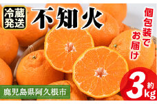 ＜先行予約受付中！2026年4月上旬以降順次発送予定＞数量限定！冷蔵不知火「クールな大将季」(計約3kg) 国産 みかん ミカン 柑橘 フルーツ 果物 旬 デザート 数量限定 阿久根市産 露地 しらぬい シラヌイ 冷蔵 期間限定 クール【三笠農業生産】akn051-06