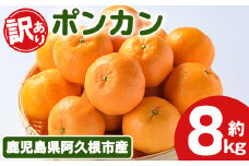 ＜先行予約受付中！2025年12月下旬以降順次発送予定＞訳あり！ポンカン(約8kg) 国産 ポンカン 柑橘 果物 フルーツ デザート 果実 期間限定 数量限定【古田果樹園】akn093-05