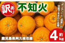 ＜先行予約受付中！2026年3月上旬以降順次発送予定＞訳あり！露地栽培の不知火(4kg) 国産 不知火 しらぬい 柑橘 果物 フルーツ デザート 露地 果実 期間限定 数量限定【古田果樹園】akn093-03