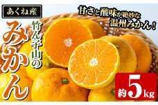 ＜先行予約受付中！2025年11月以降順次発送予定＞数量限定！竹ん子山のみかん(約5kg) 国産 鹿児島県産 阿久根産 ミカン 蜜柑 みかん 柑橘 果物 フルーツ 温州みかん 果実 期間限定 【竹ん子山】akn097-03