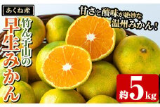 ＜先行予約受付中！2025年9月下旬以降順次発送予定＞数量限定！竹ん子山の早生みかん(約5kg) 国産 鹿児島県産 阿久根産 ミカン 蜜柑 みかん 柑橘 果物 フルーツ 温州みかん 早生みかん 果実 期間限定 【竹ん子山】akn097-02