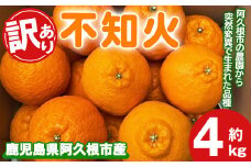 ＜先行予約受付中！2026年3月上旬以降順次発送予定＞訳あり！露地栽培の不知火(4kg：大将季) 国産 不知火 しらぬい 柑橘 果物 フルーツ デザート 露地 果実 期間限定 数量限定【古田果樹園】akn093-07