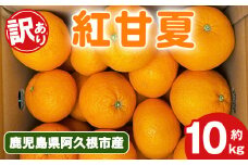 ＜先行予約受付中！2026年2月上旬以降順次発送予定＞訳あり！紅甘夏(10kg) 国産 紅甘夏 柑橘 果物 フルーツ デザート 果実 期間限定 数量限定【古田果樹園】akn093-04