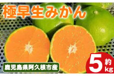 ＜先行予約受付中！2025年9月上旬以降順次発送予定＞極早生みかん(5kg) 国産 みかん 極早生 早生 柑橘 果物 フルーツ デザート 果実 期間限定 数量限定【古田果樹園】akn093-06