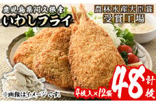 数量限定！鹿児島県産あくねのいわしフライ(計48枚・4枚入×12袋)国産 加工品 惣菜 揚げ物 セット 詰め合わせ おつまみ おかず 魚介【又間水産】akn001-11