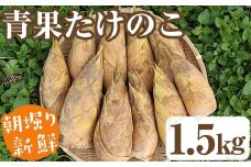 【土日祝着】＜先行予約受付中！2026年2月下旬以降順次発送予定＞朝堀り青果たけのこ(約1.5kg) 国産 新鮮 タケノコ 青果 竹の子 筍 野菜 春 旬 期間限定【上野食品】akn008-04-B
