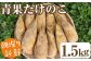 青果たけのこ1.5ｋｇ