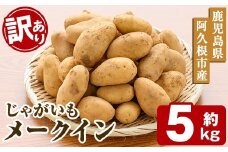 ＜先行予約受付中！2026年5月下旬以降順次発送予定＞訳あり！じゃがいも「メークイン」(約5kg) じゃがいも ジャガイモ 芋 国産 野菜 期間限定 数量限定【古田果樹園】akn093-01
