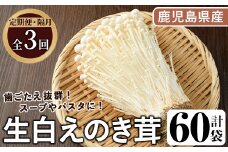 ＜定期便(奇数月)・全3回＞生白えのき茸(計60袋・20袋×3回)国産 エノキ きのこ キノコ 個包装【三笠えのき茸生産組合】akn010-23