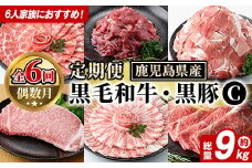 ＜定期便・全6回(偶数月)＞6人家族用！鹿児島県産 黒毛和牛・黒豚 定期便 C (総量約9kg) 国産 黒豚 しゃぶしゃぶ 肩 ロース スライス 訳あり 切り落とし 黒毛和牛 サーロイン ステーキ 黒豚 バラ カタ ウデ 小分け セット akn042-39
