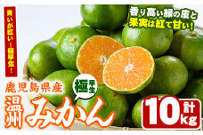 ＜先行予約受付中！2025年9月以降順次発送予定＞＜期間・数量限定＞極早生温州みかん(10kg) 国産 ミカン 蜜柑 柑橘 果物 果実 フルーツ デザート 旬 早生 わせ 青切りみかん 青いみかん 期間限定【鹿児島いずみ農業協同組合】akn018-07