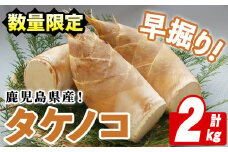 ＜先行予約受付中！2026年3月以降順次発送予定＞鹿児島県産！早掘りタケノコ(2kg) 国産 野菜 筍 たけのこ 竹 春 野菜 旬【鹿児島いずみ農業協同組合】akn018-23