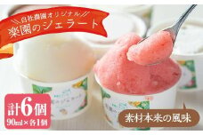 農園ガーデン空楽園のジェラートセット(90ml×6個) ジェラート アイス いちご いちごミルク レモン ブルーベリー 不知火 抹茶 デザート スイーツ おやつ 夏 鹿児島 バラエティ【農園ガーデン空】akn026-01