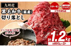 九州産黒毛和牛(経産)切り落とし(計1.2kg)とピンク岩塩(あら塩・200g/ボトル付) セット 国産 九州産 牛肉 国産牛 岩塩 ピンク岩塩 あら塩 ボトル 付き ふるさと納税限定 企業 コラボ 【スターゼン×梅研本舗ジャパン】akn501-03