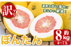 ＜先行予約受付中！2025年12月以降順次発送予定＞訳あり！数量限定！阿久根産ぼんたん(計8kg・6～7玉）国産 ボンタン 柑橘 果物 期間限定 文旦 訳アリ 不揃い【あくね旬の店いきいき館】akn015-13