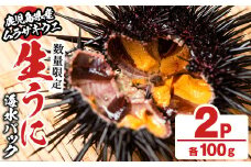 ＜先行予約受付中！2026年4月上旬以降順次発送予定＞【平日着】生うに(ムラサキウニ)海水パックセット(100g×2P) 国産 鹿児島県産 雲丹 ウニ うに 魚介 魚貝 海産物 海鮮丼 パック 小分け セット【尾塚水産】akn004-20-A