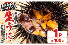 ＜先行予約受付中！2026年4月上旬以降順次発送予定＞【土日祝着】生うに(ムラサキウニ)海水パックセット(100g×1P) 国産 鹿児島県産 雲丹 ウニ うに 魚介 魚貝 海産物 海鮮丼 パック 小分け セット【尾塚水産】akn004-17-B