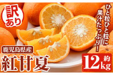 ＜先行予約受付中！2026年3月以降順次発送予定＞訳あり 紅甘夏(約12kg) 国産 鹿児島県産 果物 フルーツ 柑橘 みかん 甘夏【松永青果】akn053-19