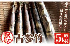 ＜先行予約受付中！2026年4月下旬以降順次発送予定＞訳あり！古参竹(約5kg) 鹿児島県 阿久根市 古参竹 こさんだけ 竹の子 タケノコ たけのこ 天ぷら 炒め物 メンマ 煮物 サイズ混合 訳アリ 野菜 青果【松永青果】akn053-22
