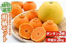 ＜先行予約受付中！2026年1月以降順次発送予定＞鹿児島県阿久根市産！特別選定 柑橘セット(ボンタン3個・不知火3kg) 国産 果物 フルーツ かんきつ ノーワックス【松永青果】akn053-26
