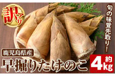 ＜先行予約受付中！2025年11月以降順次発送予定＞訳あり！鹿児島県産 早掘りたけのこ(約4kg) 国産 野菜 たけのこ タケノコ 筍 旬 煮物 水煮 天ぷら つくだ煮【松永青果】akn053-35
