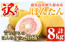 ＜先行予約受付中！2025年12月中旬以降順次発送予定＞訳あり！鹿児島県阿久根市産ボンタン(計8kg)国産 ぼんたん 文旦 柑橘 果物 フルーツ【松永青果】akn053-02
