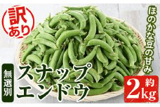 ＜先行予約受付中！2026年1月以降順次発送予定＞訳あり！鹿児島県産 スナップエンドウ(約2kg) 国産 野菜 スナップエンドウ スナップえんどう おつまみ サラダ 炒め物 訳アリ サイズ混合【松永青果】akn053-07