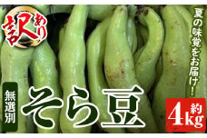 ＜先行予約受付中！2026年4月下旬以降順次発送予定＞訳あり！鹿児島県産 そら豆(約4kg) 国産 野菜 そら豆 ソラマメ おつまみ サラダ 炒め物 訳アリ サイズ混合 ソラ豆 鞘つき さやつき【松永青果】akn053-08