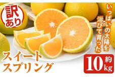 ＜先行予約受付中！2025年12月中旬以降順次発送予定＞訳ありスイートスプリング(約10kg) 鹿児島県 阿久根市 フルーツ 果物 デザート 柑橘 甘味 果肉 果汁【松永青果】akn053-11