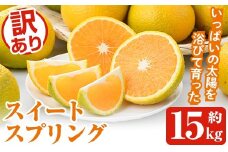 ＜先行予約受付中！2025年12月中旬以降順次発送予定＞訳ありスイートスプリング(約15kg) 鹿児島県 阿久根市 フルーツ 果物 デザート 柑橘 甘味 果肉 果汁【松永青果】akn053-41
