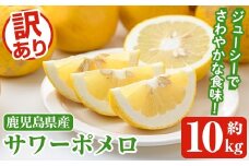 ＜先行予約受付中！2026年1月以降順次発送予定＞訳ありサワーポメロ(約10kg) 国産 果物 フルーツ 柑橘 甘味 酸味 デザート おやつ【松永青果】akn053-16