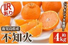 ＜先行予約受付中！2026年2月以降順次発送予定＞訳あり不知火(約4kg) 国産 鹿児島県産 果物 フルーツ 柑橘 不知火【松永青果】akn053-17