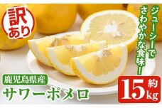 ＜先行予約受付中！2026年1月以降順次発送予定＞訳ありサワーポメロ(約15kg) 国産 果物 フルーツ 柑橘 甘味 酸味 デザート おやつ【松永青果】akn053-44
