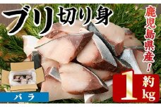 ＜先行予約受付中！2025年11月以降順次発送予定＞ブリの切り身(バラ・約1kg) 国産 鹿児島県産 ブリ 鰤 魚貝 魚介 海産物 焼き魚 煮つけ ブリカツ バラ【株式会社島水】akn102-01