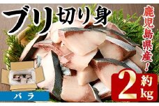 ＜先行予約受付中！2025年11月以降順次発送予定＞ブリの切り身(バラ・約2kg) 国産 鹿児島県産 ブリ 鰤 魚貝 魚介 海産物 焼き魚 煮つけ ブリカツ バラ【株式会社島水】akn102-02