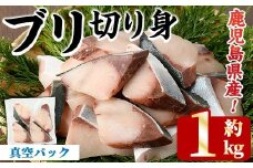＜先行予約受付中！2025年11月以降順次発送予定＞ブリの切り身(真空パック・約1kg) 国産 鹿児島県産 ブリ 鰤 魚貝 魚介 海産物 焼き魚 煮つけ ブリカツ 真空【株式会社島水】akn102-03