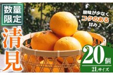 ＜先行予約受付中！2026年4月上旬以降順次発送予定＞数量限定！鹿児島県産 清見 (20個・2L) 柑橘 フルーツ 果物 国産 みかん 期間限定 きよみ キヨミ ミカン【株式会社イロドリ】akn069-09