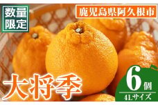 ＜先行予約受付中！2026年1月中旬以降順次発送予定＞数量限定！大将季 (6個・4Lサイズ) 柑橘 フルーツ 果物 国産 みかん 期間限定 不知火 しらぬい シラヌイ ミカン【株式会社イロドリ】akn069-12