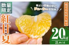 ＜先行予約受付中！2026年3月中旬以降順次発送予定＞数量限定！鹿児島県産 紅甘夏 (20kg・2L) 柑橘 フルーツ 果物 国産 みかん 期間限定 数量限定 ベニアマナツ ミカン 旬 【株式会社イロドリ】akn069-11