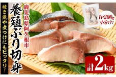 養殖ぶり切身(約2kg) 鹿児島県 阿久根市 ブリ ぶり 鰤 魚貝 魚介 海産物 切身 切り身 煮物 煮つけ 焼き魚 おかず おつまみ 小分け【さるがく水産】akn028-45