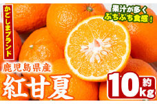 ＜先行予約受付中！2026年2月以降順次発送予定＞数量限定！鹿児島県産紅甘夏みかん(約10kg・28玉～32玉)国産 果物 フルーツ【鹿児島いずみ農業協同組合】akn018-05