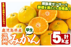 ＜期間・数量限定＞早生温州みかん(5kg) 国産 ミカン 柑橘 果物 フルーツ 温州 期間限定【鹿児島いずみ農業協同組合】akn018-08